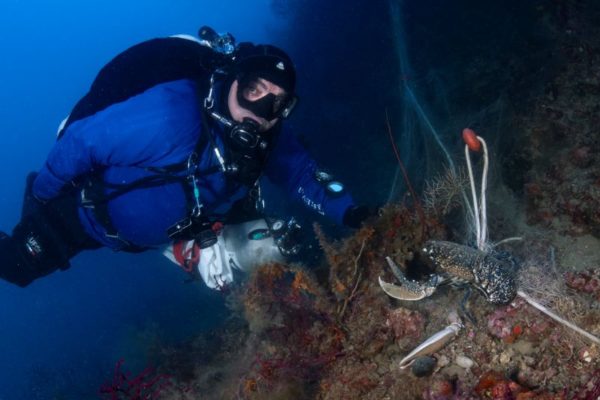 Marevivo Ph. Filippo Borghi 5 Marevivo Ph. Filippo Borghi 5