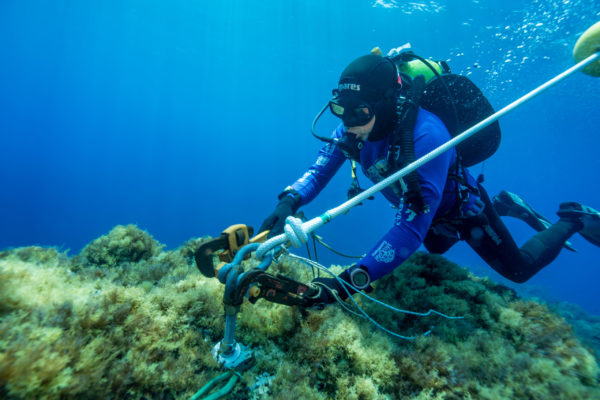 MedCoral Guardians Ustica Boe 6