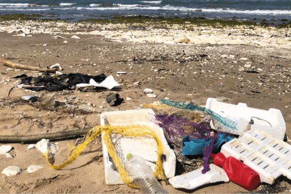 Inquinamento Cassette Sulla Spiaggia 2 Inquinamento Cassette Sulla Spiaggia 2