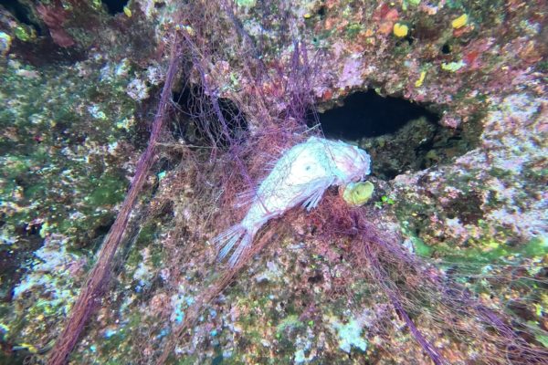 Copia Di Mare Mio Gin Mare Capri 2025 45