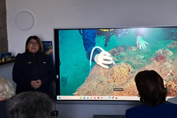 Carmela Guidone Direttore Pro Tempore AMP