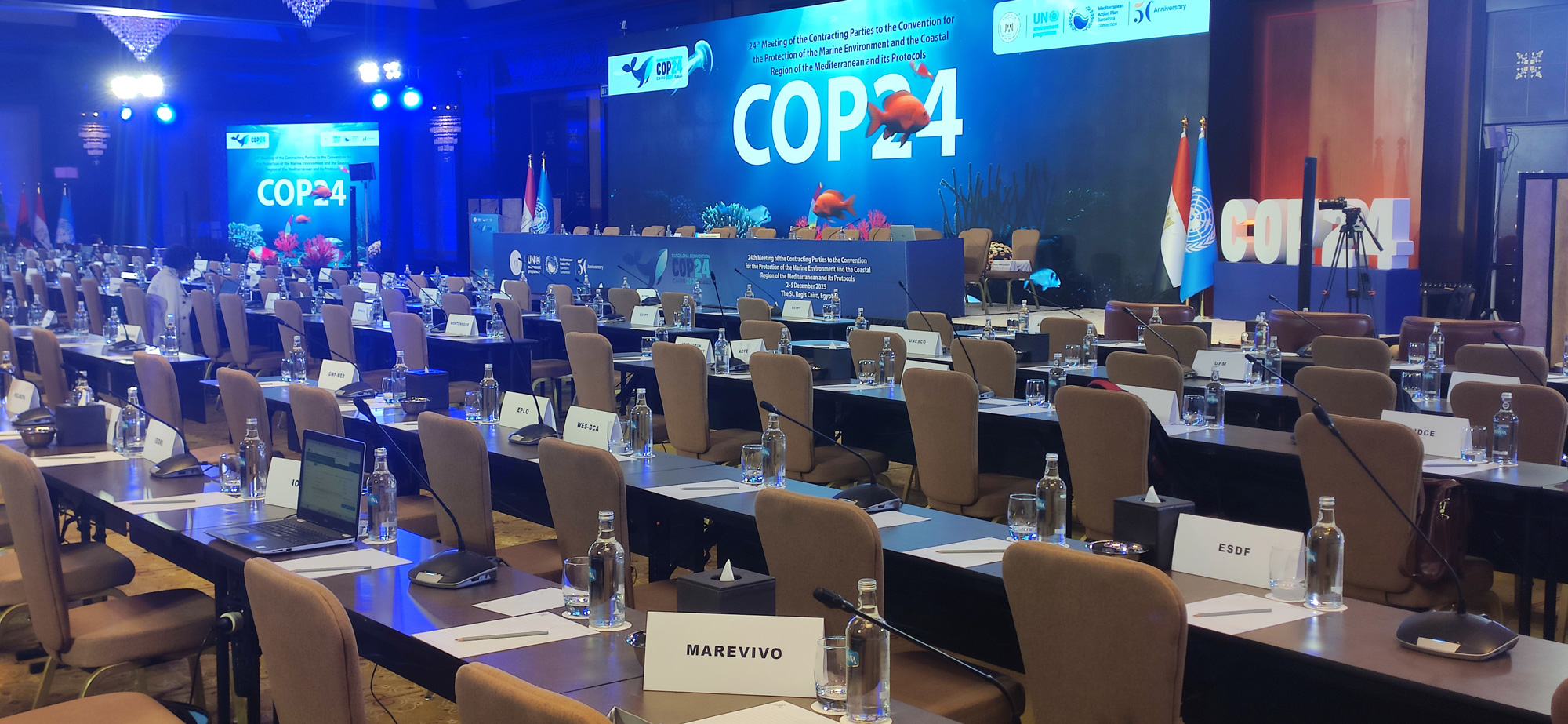 COP 24: Marevivo rilancia una nuova alleanza per salvare il Mediterraneo