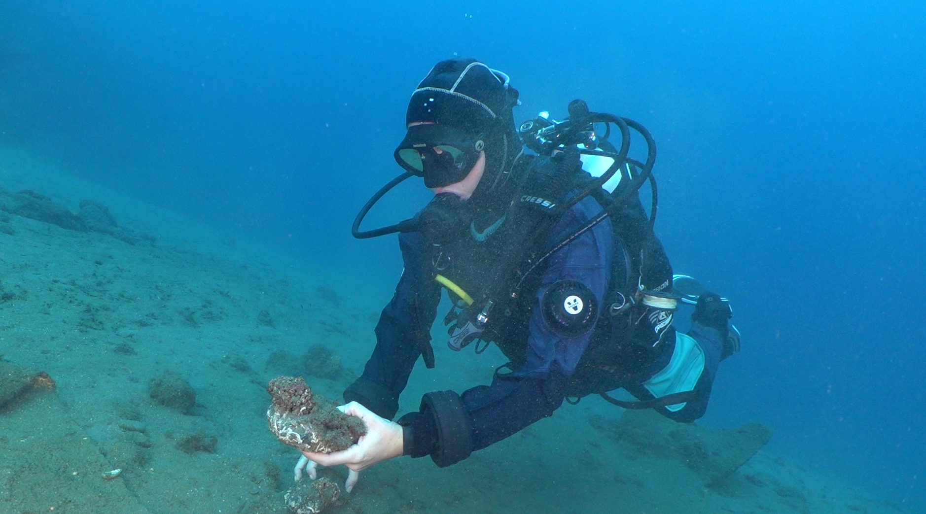 Anche i coralli del Mediterraneo rischiano l’estinzione