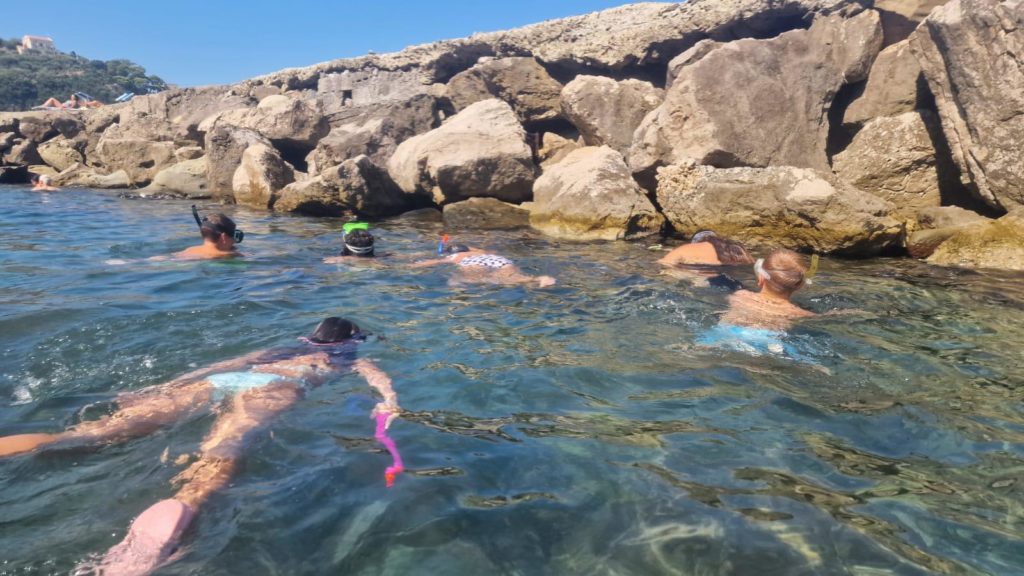 MedCoral Estate 2025 AMPPC (5) (1)