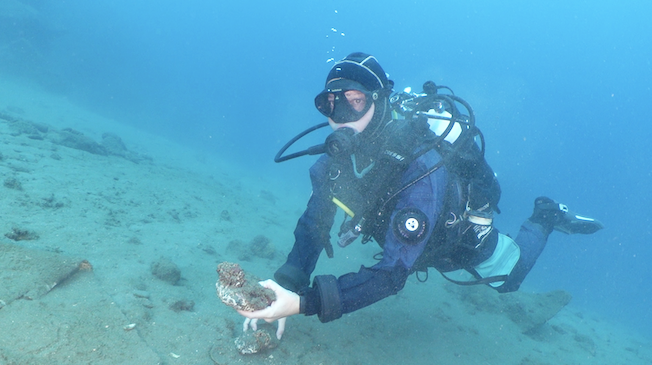 Screenshot 2025 12 14 Alle 14.37.00