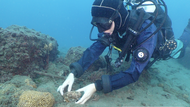 Screenshot 2025 12 14 Alle 14.39.50