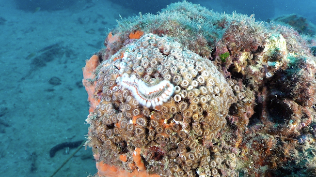 Screenshot 2025 12 14 Alle 14.42.03