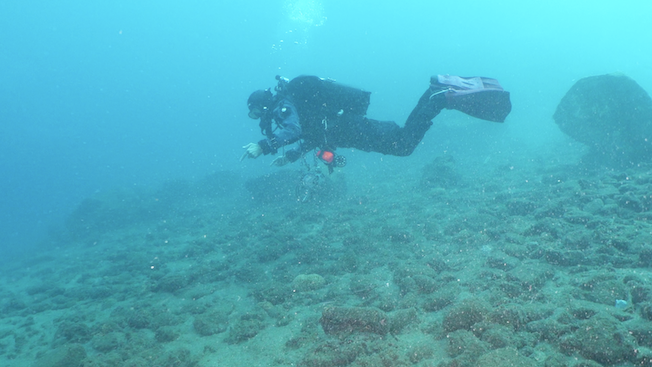 Screenshot 2025 12 14 Alle 15.02.12