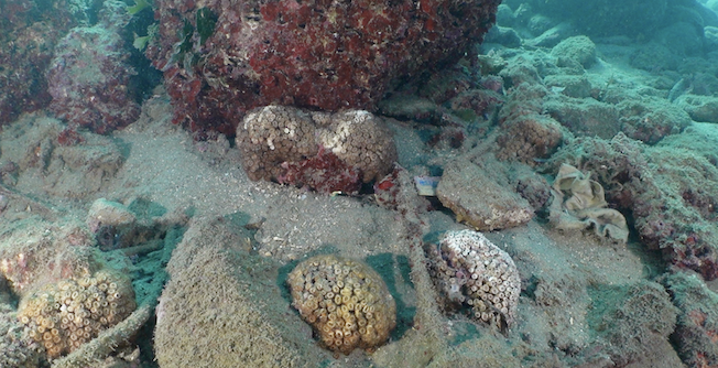 Screenshot 2025 12 14 Alle 15.07.35