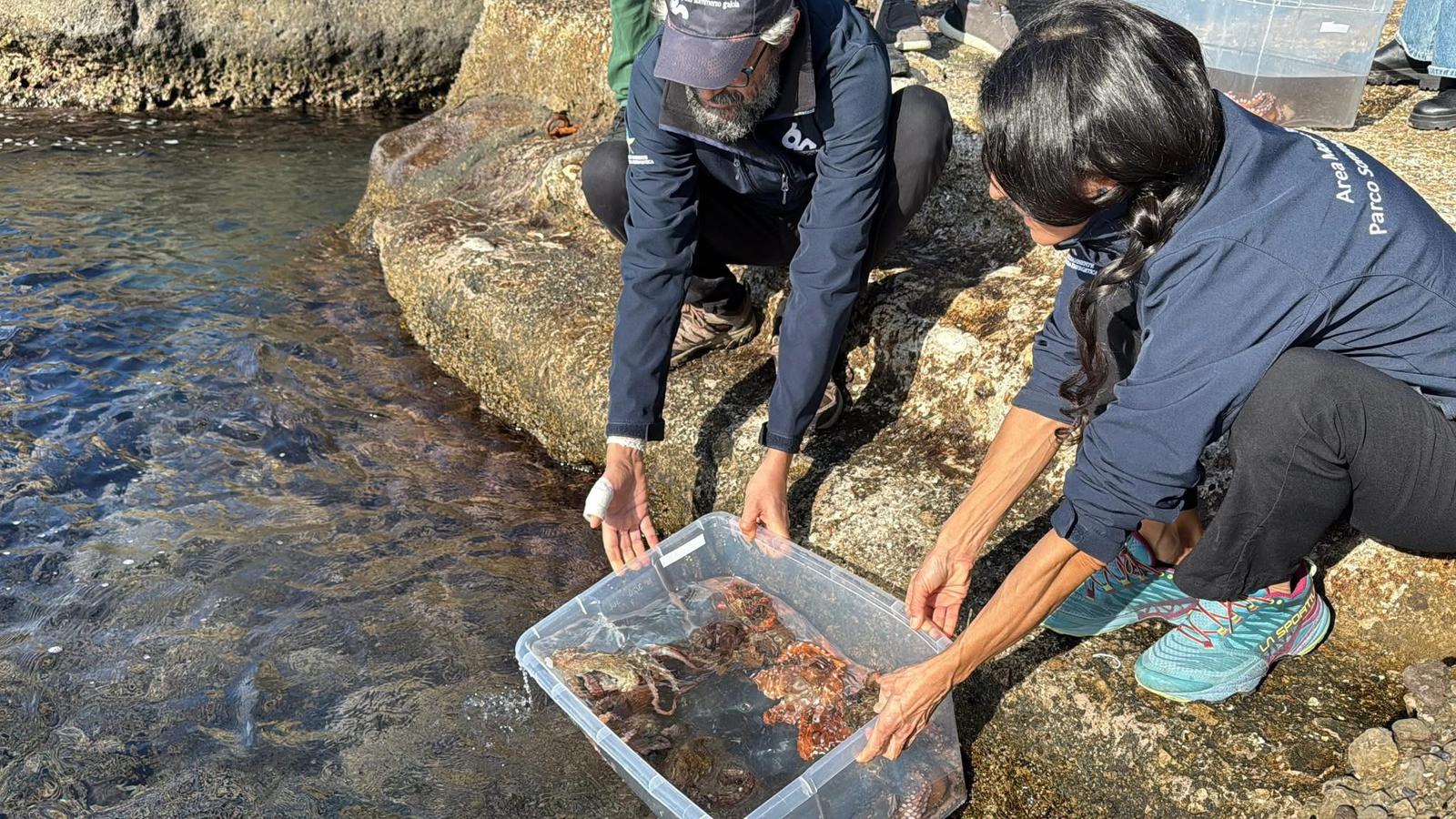 Questo Natale facciamo un regalo al Mare