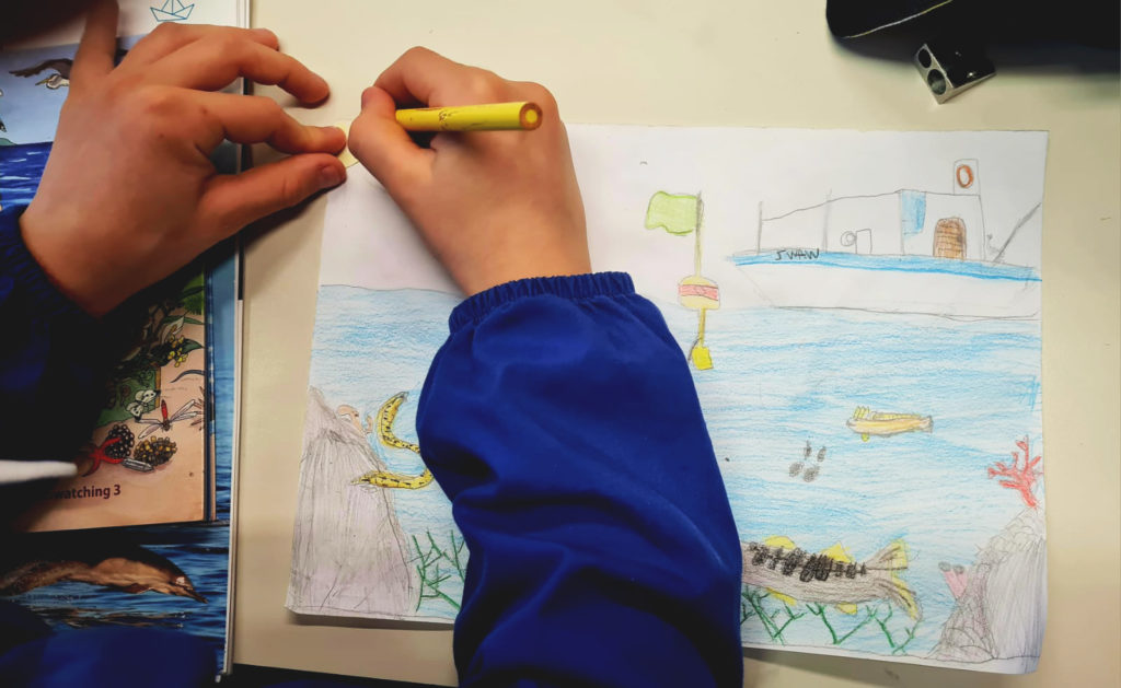 DELFINI GUARDIANI (4)