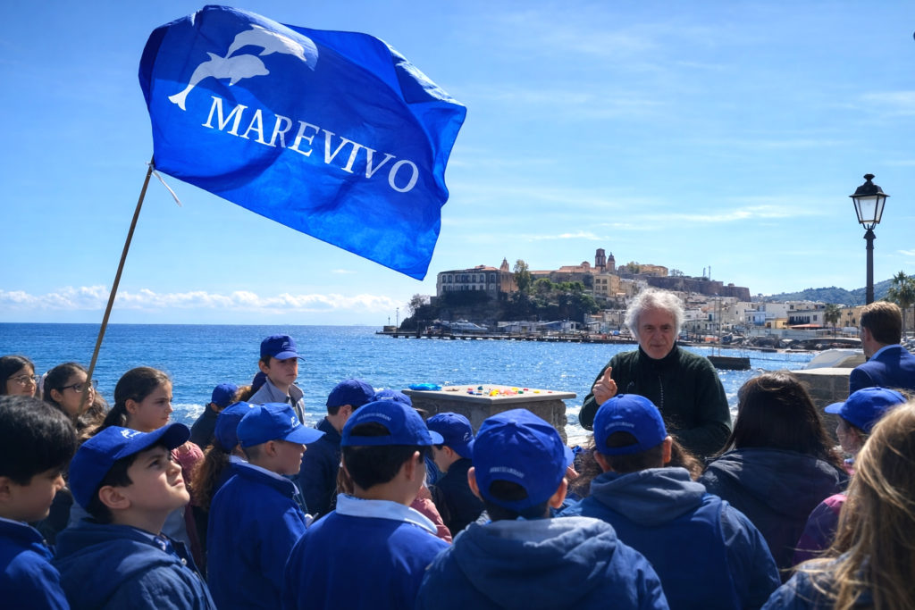 Delfini Guardiani La Maddalena 1