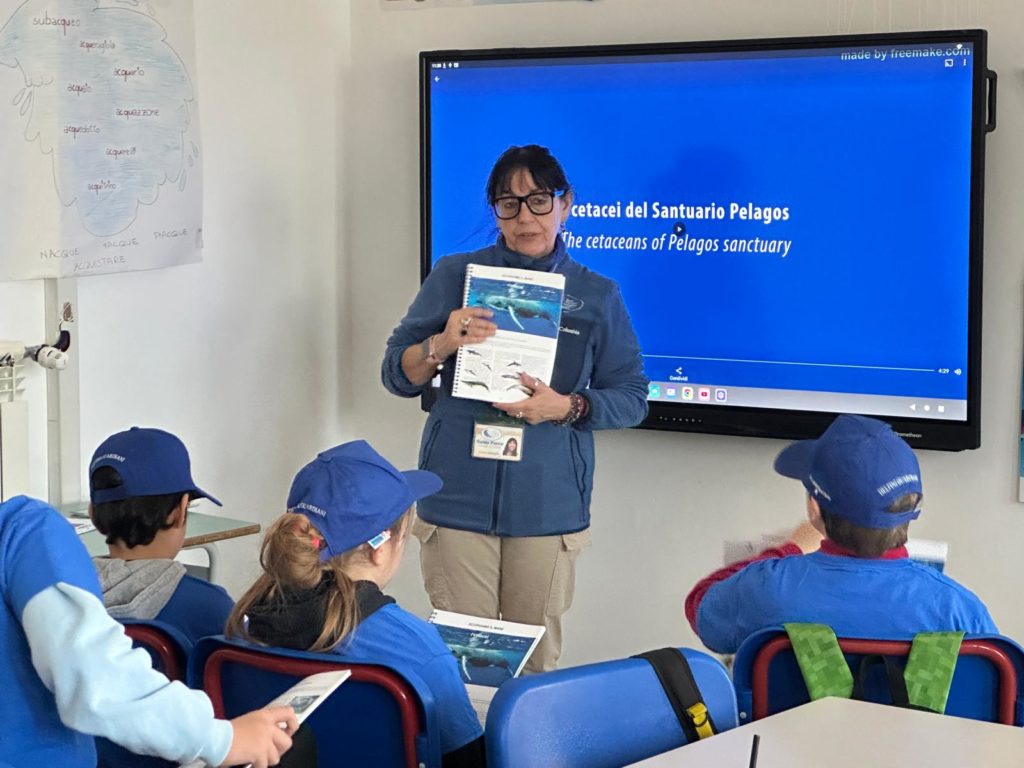 DELFINI GUARDIANI (3)