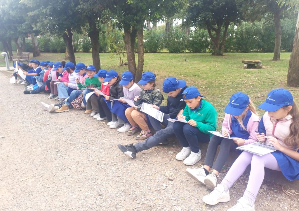 DELFINI GUARDIANI TOSCANA 6