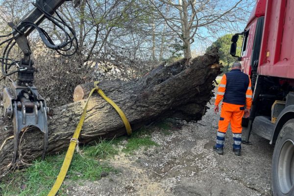 PHOTO 2026 03 13 12 06 17 8 PHOTO 2026 03 13 12 06 17 8