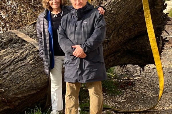 2c3d6c07 B71e 4308 A5b1 Ea8629c02ae4