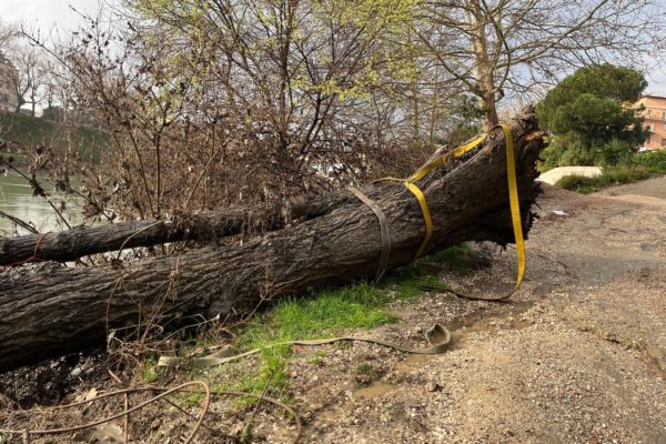 PHOTO 2026 03 13 12 06 17 2