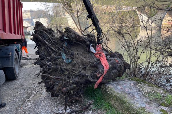 PHOTO 2026 03 13 12 06 17 3