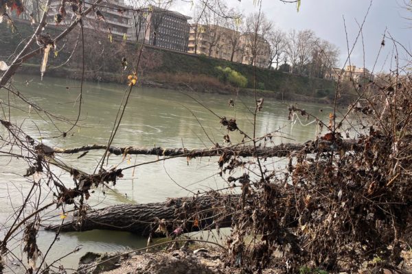 PHOTO 2026 03 13 12 06 17 5