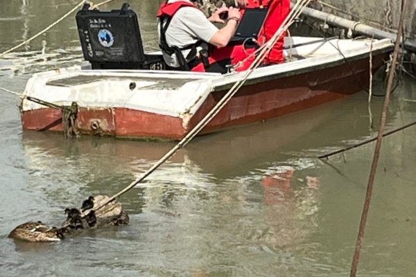 PHOTO 2026 03 13 12 08 19