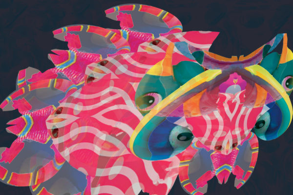 Mostra Metamorfosi Dettaglio 4