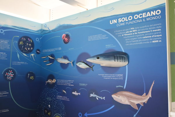 Centro Biodiversit&agrave; Fluviale E Urbana (2)