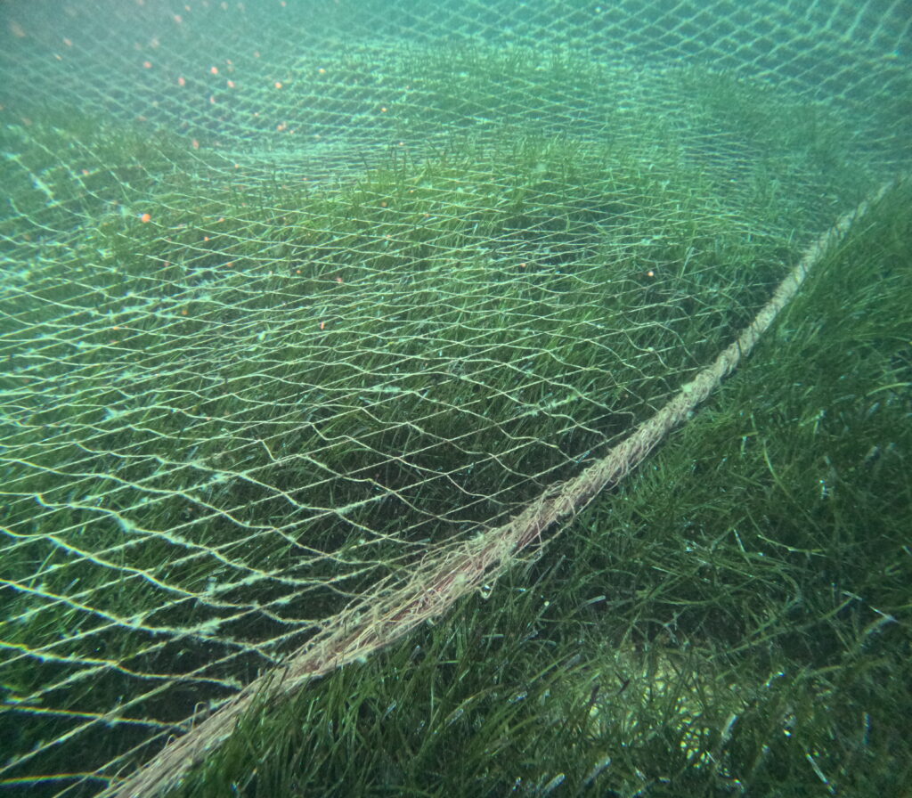 DCIM100GOPROGOPR0569.JPG