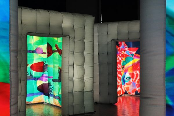 Installazione Metamorfosi 1