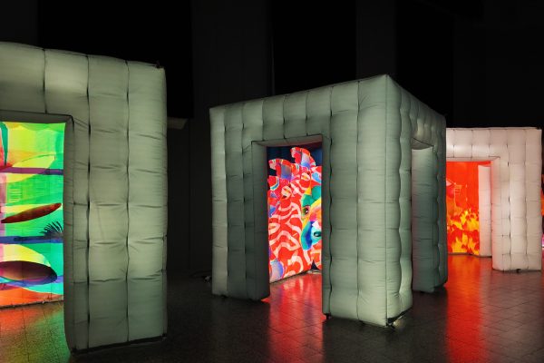 Installazione Metamorfosi 3