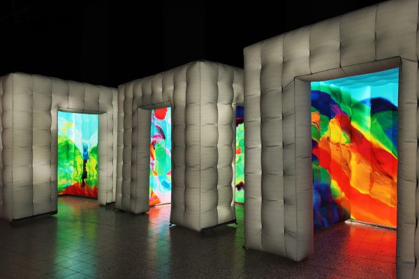 Installazione Metamorfosi 4