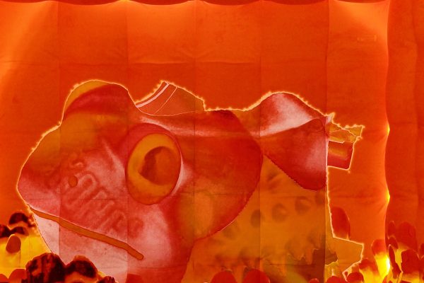 Installazione Metamorfosi 5