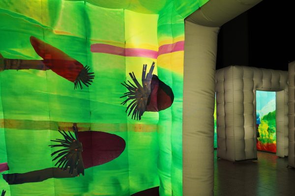 Installazione Metamorfosi 6