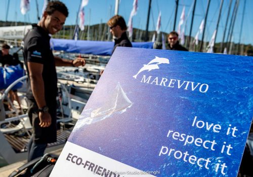 Sostituire La Seconda Foto (signore Che Parla)